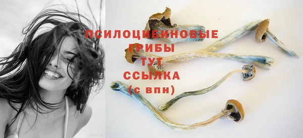 дмт Надым