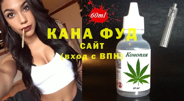 дмт Надым