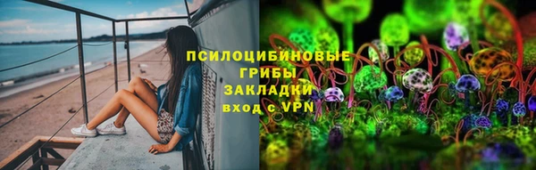 дмт Надым