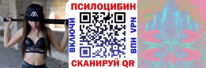 Псилоцибиновые грибы GOLDEN TEACHER Тбилисская